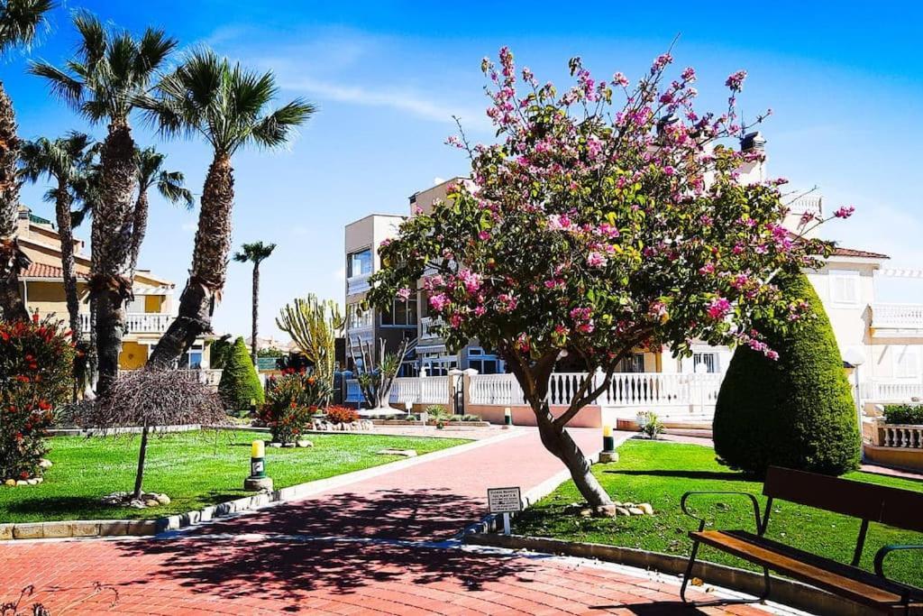 Apartament Z Duzym Tarasem Na Pieknym Osiedlu Orihuela Eksteriør billede